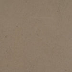 Fossil Taupe